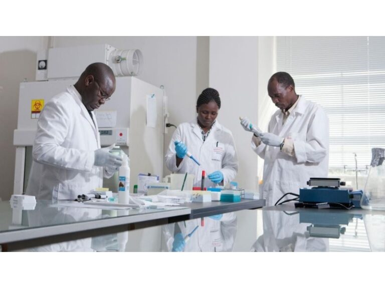 Novartis’ GanLum Shows Breakthrough Phase 3 Success, Poised to Become First New Malaria Therapy in 25 Years